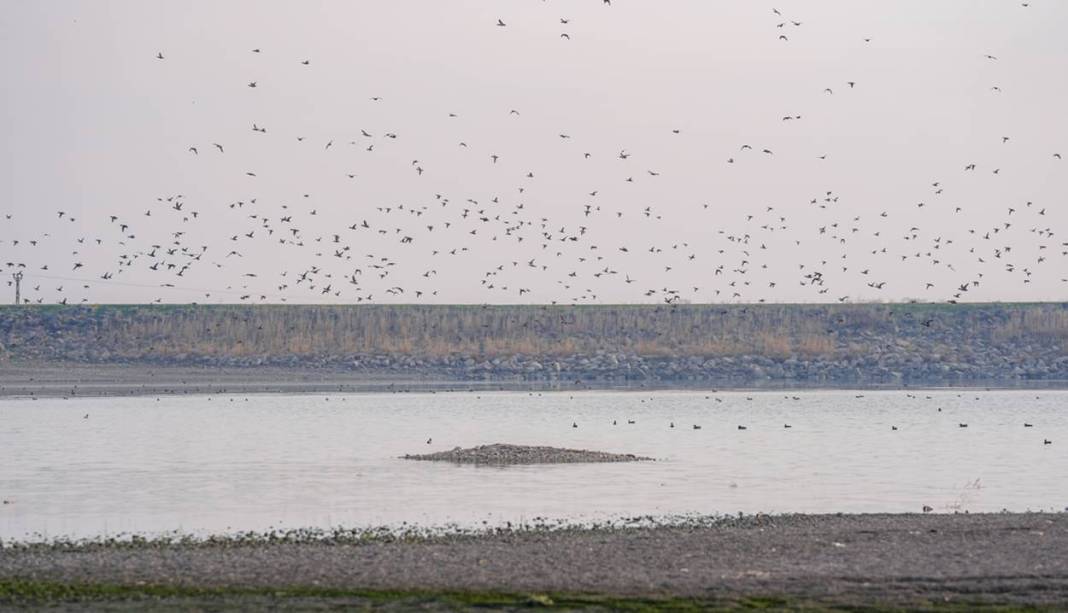 İklim değişikliği Diyarbakır’daki Kabaklı Göleti’ni kuruttu 4
